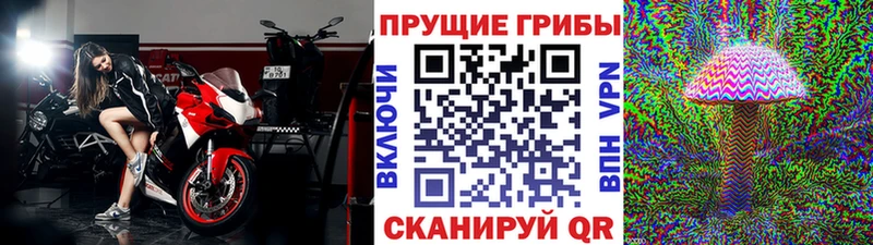 кракен ТОР  купить наркотик  shop Telegram  Псилоцибиновые грибы Cubensis  Дубовка 